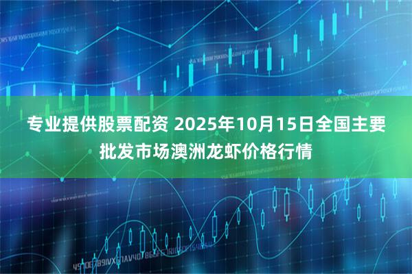 专业提供股票配资 2025年10月15日全国主要批发市场澳洲龙虾价格行情